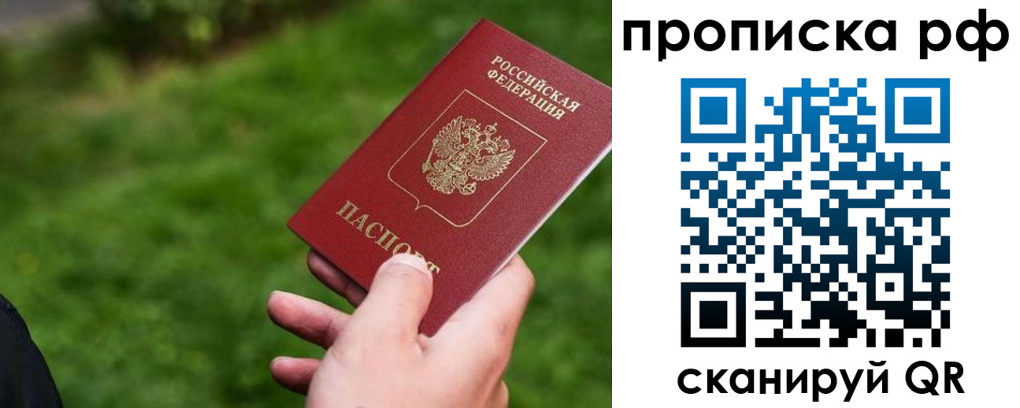 прописка для работы в Советской Гавани